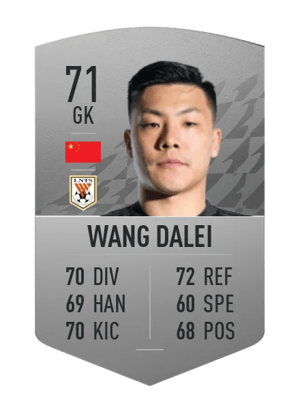 Wang Dalei
