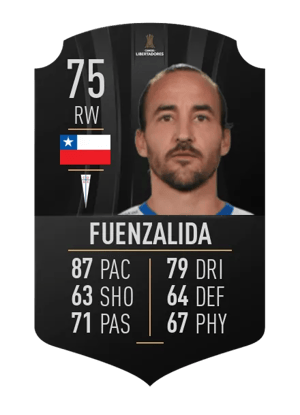 José Pedro Fuenzalida