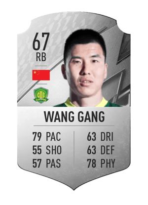 Wang Gang