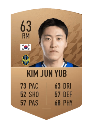 Kim Jun Yub