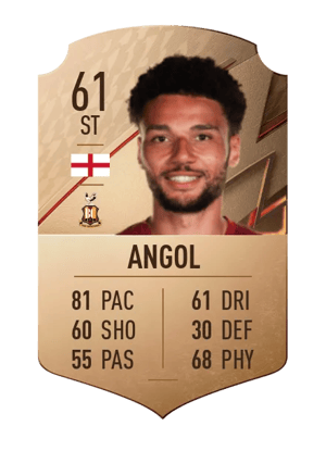 Lee Angol