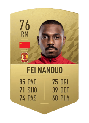 Fei Nanduo