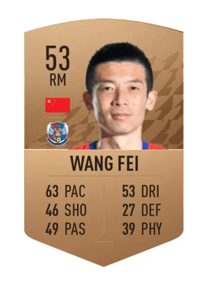 Wang Fei