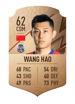 Wang Hao