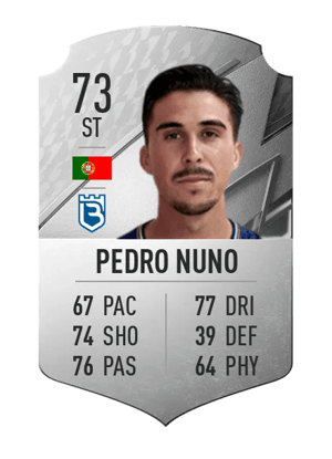 Pedro Nuno