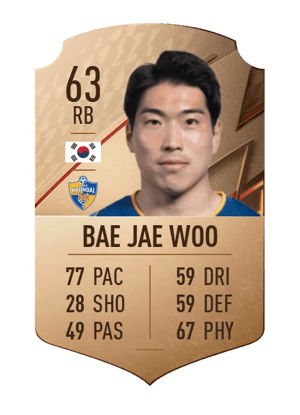 Bae Jae Woo