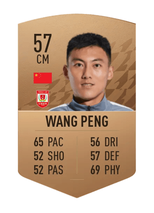 Wang Peng