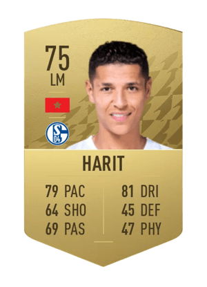 Amine Harit