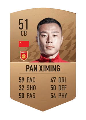 Pan Ximing