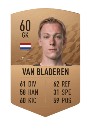 Stan van Bladeren