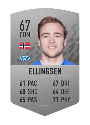 Martin Ellingsen