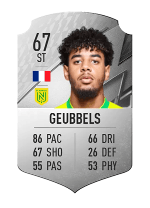 Willem Geubbels