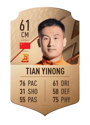 Tian Yinong