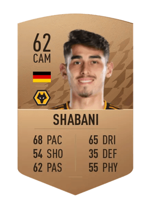 Meritan Shabani