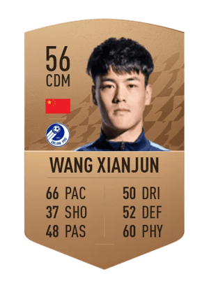 Wang Xianjun