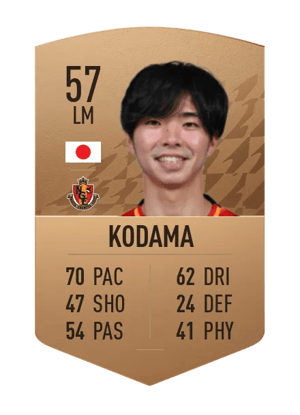 Shunto Kodama