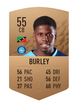 Andre Burley