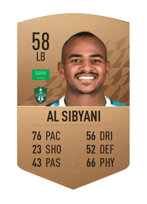 Hani Al Sibyani