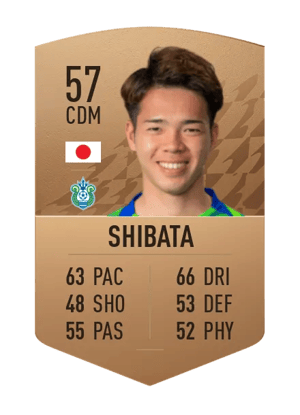 Sosuke Shibata