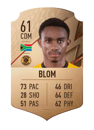 Njabulo Blom
