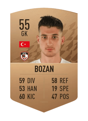 Mustafa Burak Bozan