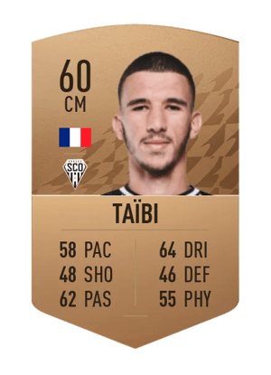 Waniss Taïbi
