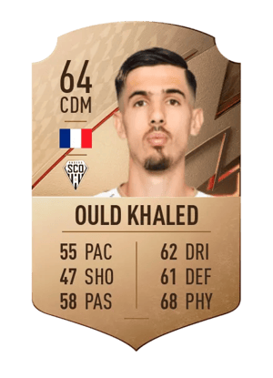 Zinédine Ould Khaled