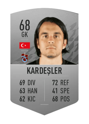 Erce Kardeşler