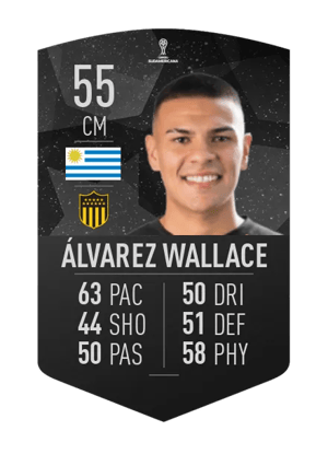 Agustín Álvarez Wallace