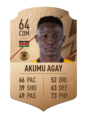 Teddy Akumu Agay