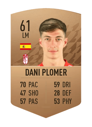 Dani Plomer