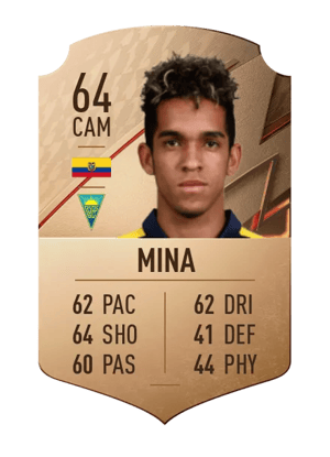 Johan Mina
