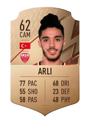 Amir Arli