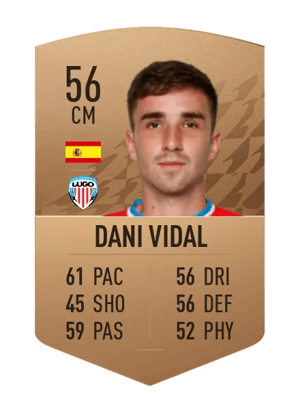 Dani Vidal