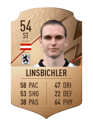 Tim Linsbichler