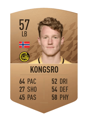 Vegard Kongsro