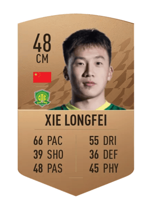 Xie Longfei