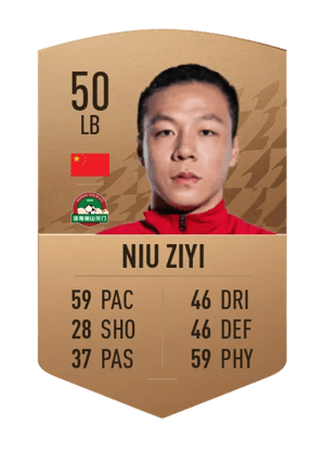 Niu Ziyi