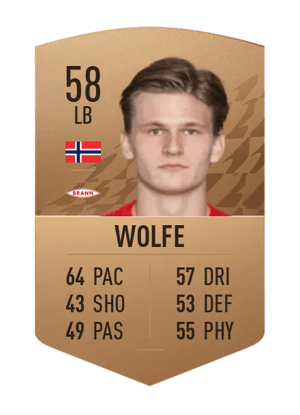 David Møller Wolfe