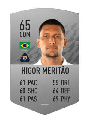 Higor Meritão