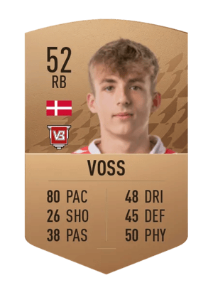 Mathias Voss