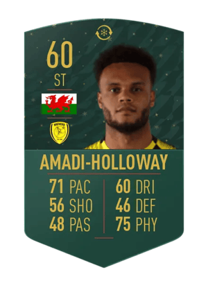 Aaron Amadi-Holloway