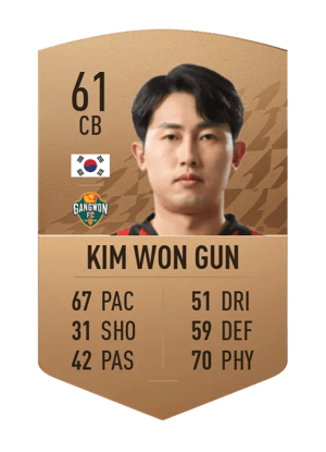 Kim Won Gun