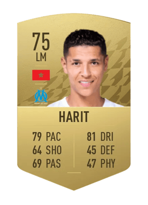 Amine Harit