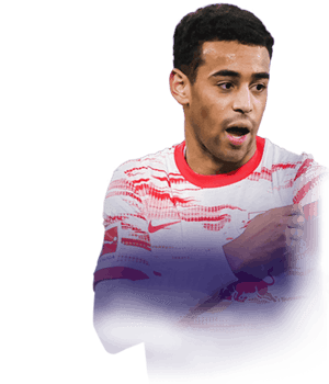 Tyler Adams
