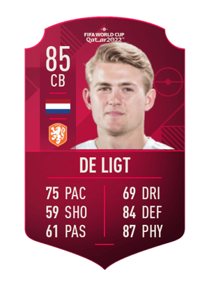 Matthijs de Ligt