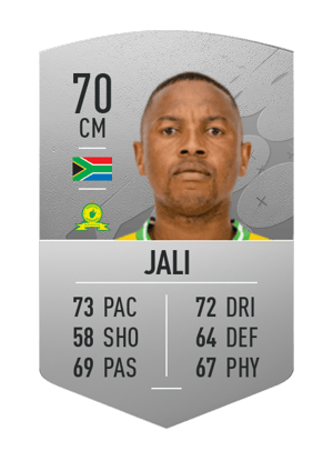 Andile Jali