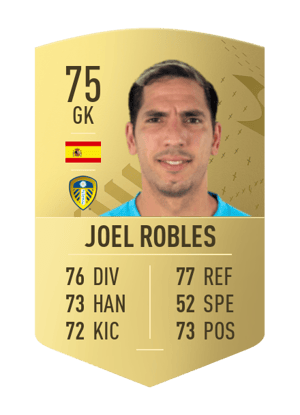 Joel Robles