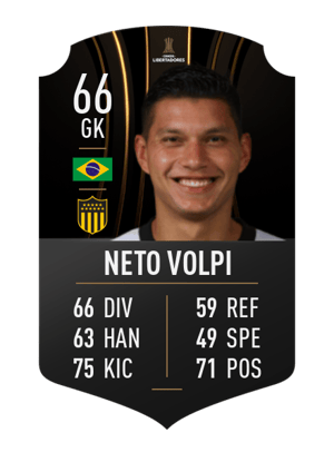 Neto Volpi