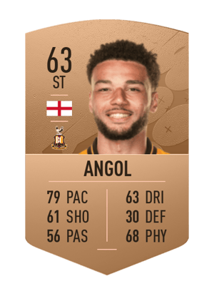 Lee Angol